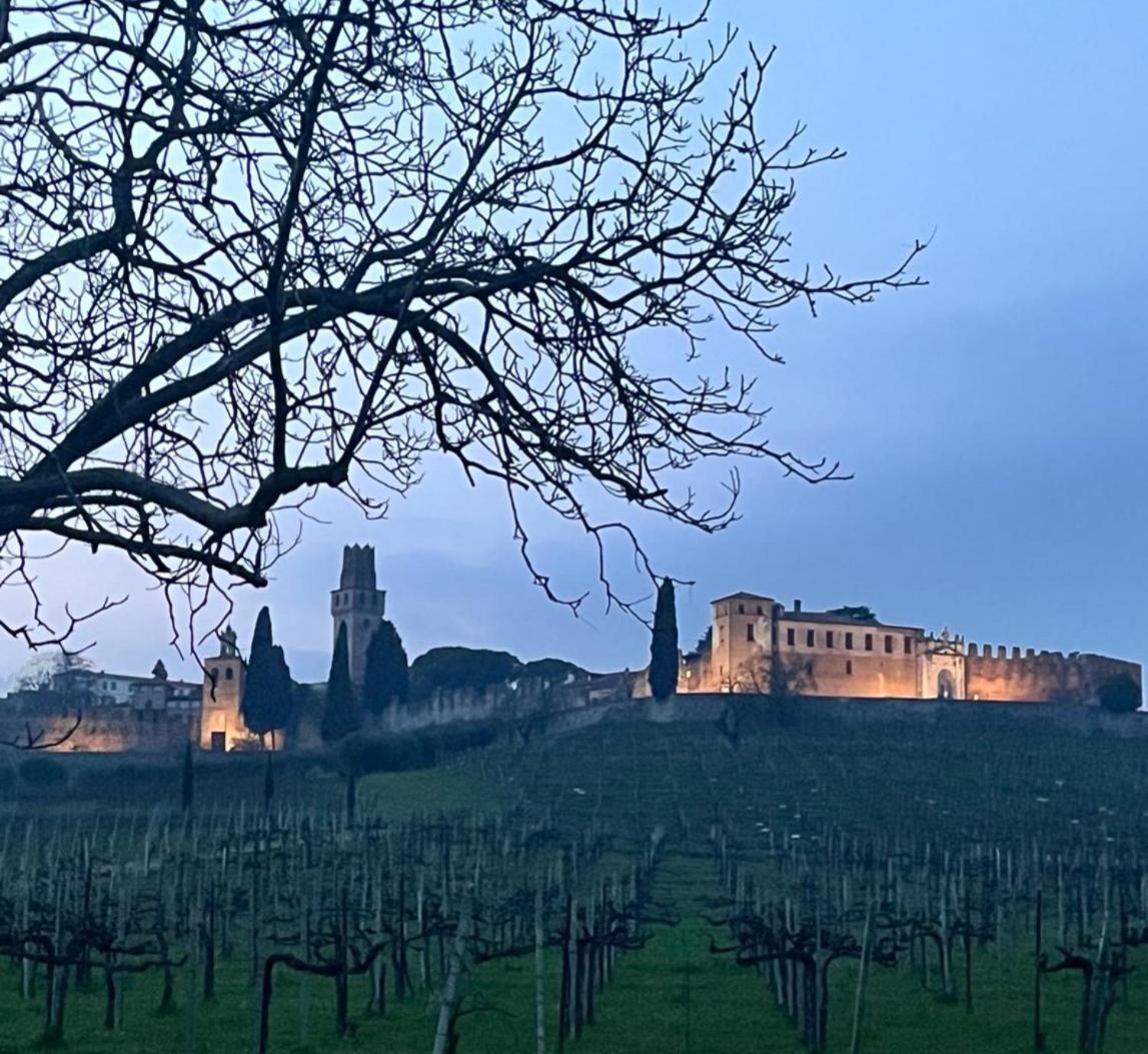 I Sassi Della Piave Villa Susegana Exterior foto